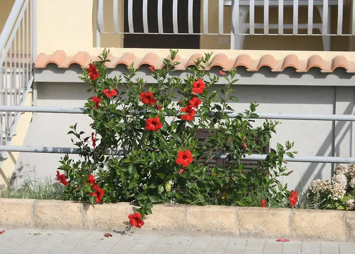 Baia Dei CanoniciAlbergo